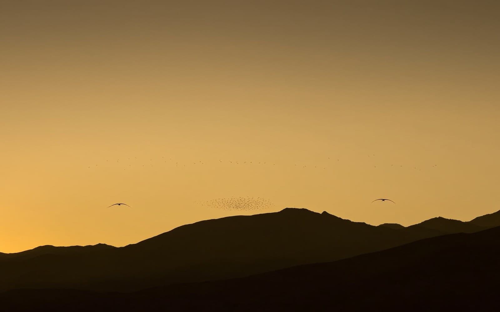 The Mind Flew Alone for Five Hundred Years. It Is Time to Land.